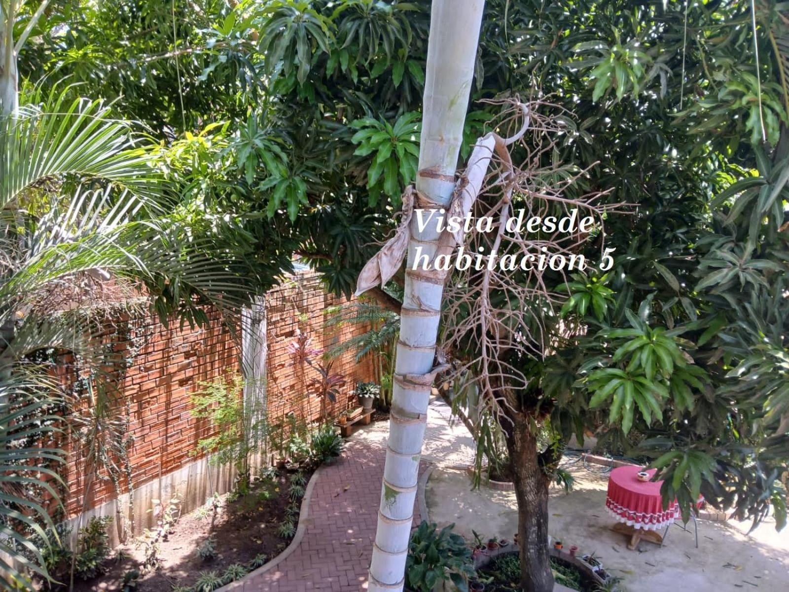 Alojamiento Familiar Custodia Tarapoto Eksteriør billede